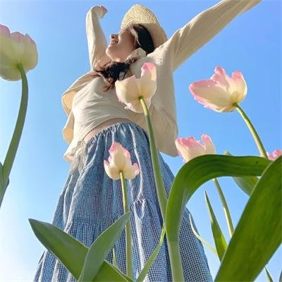 王之逆袭:意志的继承者