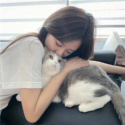 纽约孤儿